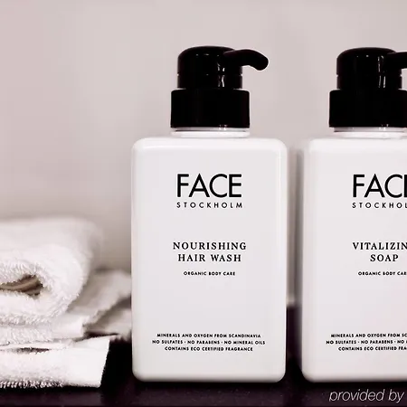 فندق سكانديك 4*